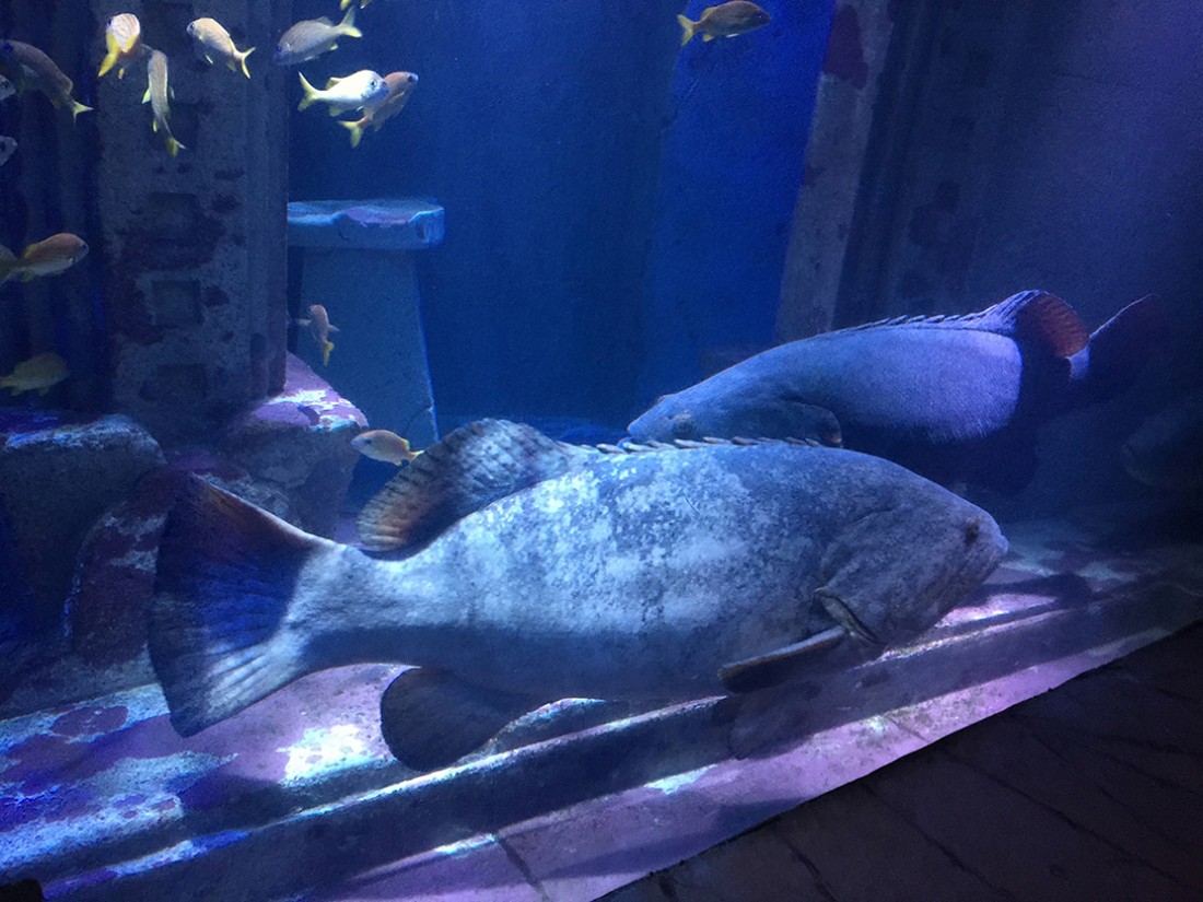 img03